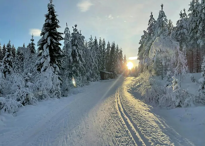 Modern With Views Of Mountain Trysil